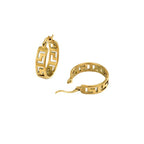Charming Gold Earring for Any Occasion
